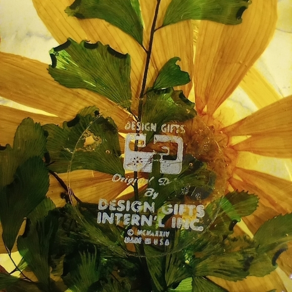 Round Acrylic Resin Egg Plate with Pressed Ferns, Daisy and Butterfly by Design - Picture 7 of 9